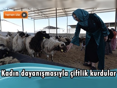 Hayvan yetiştiriciliğiyle ekonomiye katkı sağlıyorlar