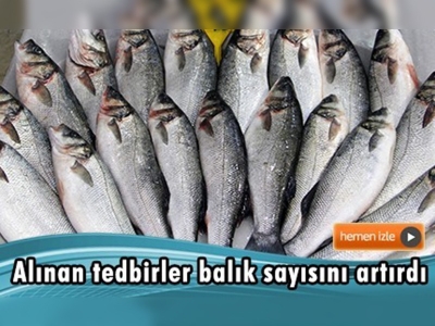 Koruma alanı uygulaması balıkçının yüzünü güldürdü