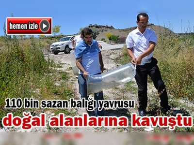 Kayseri'de balıklandırma programı tamamlandı