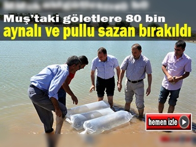 80 bin yavru balık göletlerle buluştu
