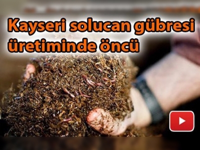 Kayseri İl Müdürü'nden Kayseri tarımıyla ilgili önemli bilgiler