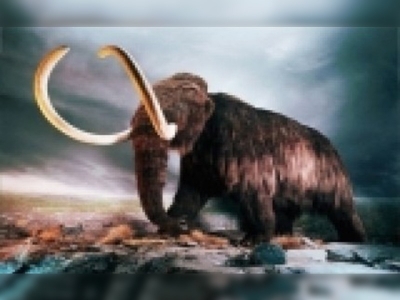 Jurassic Park filmi gerçek mi oluyor? 