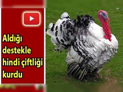 ''Hindi Yetiştiriciliği Projesi'' 