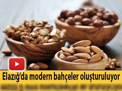 Elazığ'da ''Badem ve Ceviz Çalıştayı''