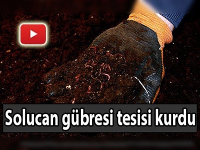 Genç girişimcinin başarısı