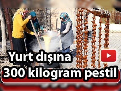 Yöresel lezzet ''pestil''i yurt dışına gönderiyor
