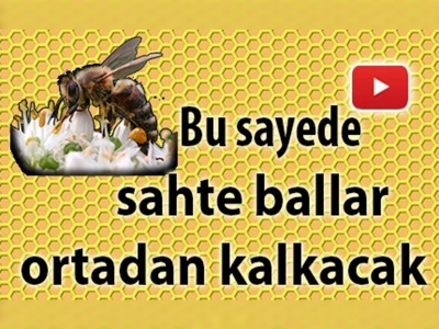 ''Arım Balım Peteğim Projesi''