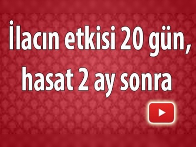 Buğdayda tarım ilacı tartışmalarına son