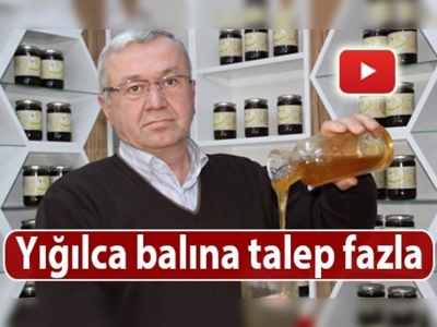 Yığılca balı marka oldu