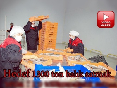 Avrupa balığını Malatyadan alıyor
