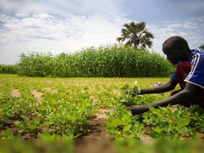 TİKA'dan Sudan'a büyük destek