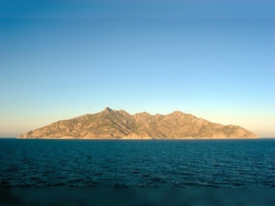 Kara sıçanlar bombalanıyor! 