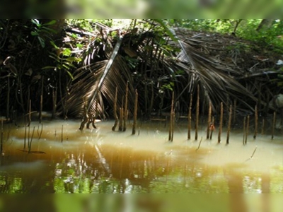 46 adet yeni canlı türü keşfedildi