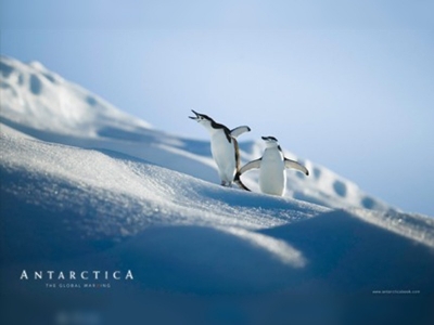 Buz kıtası Antartikada süper dirençli bakteriler bulundu