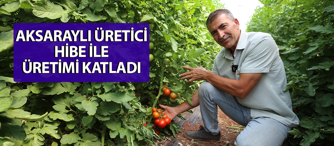 Aksaraylı üretici hibe ile üretimi katladı