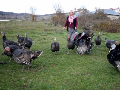 Hindiler yılbaşı için satışa hazır