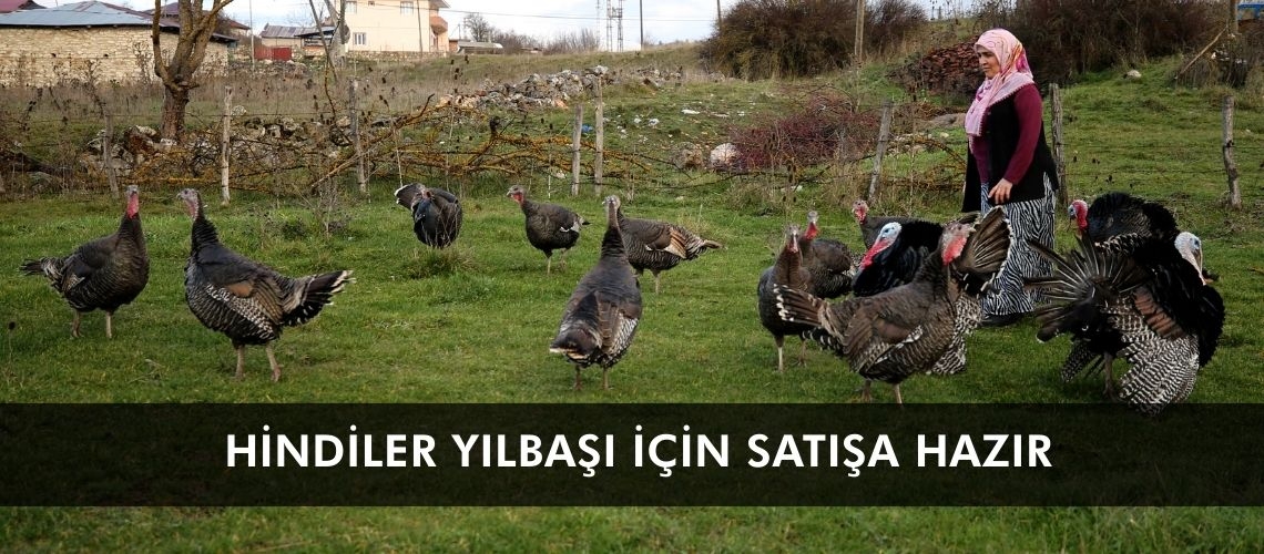 Hindiler yılbaşı için satışa hazır
