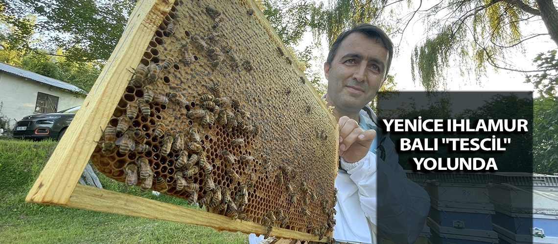 Yenice ıhlamur balı 