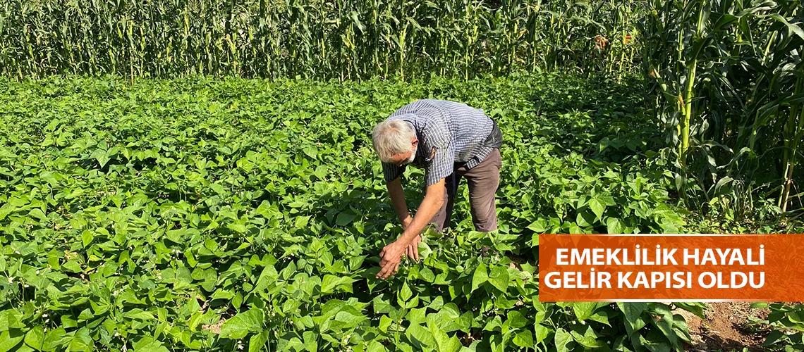 Emeklilik hayali gelir kapısı oldu