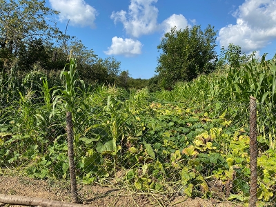 Emeklilik hayali gelir kapısı oldu