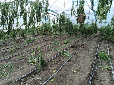 Hatay'da hortum seralarda hasara neden oldu