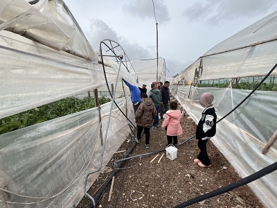 Antalya'da hortum seralara zarar verdi