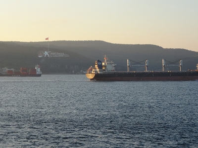 İhracat düzenleme yetkisi uzatıldı