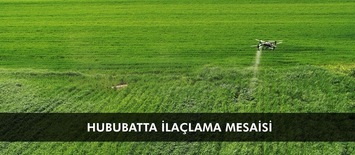 Hububatta ilaçlama mesaisi