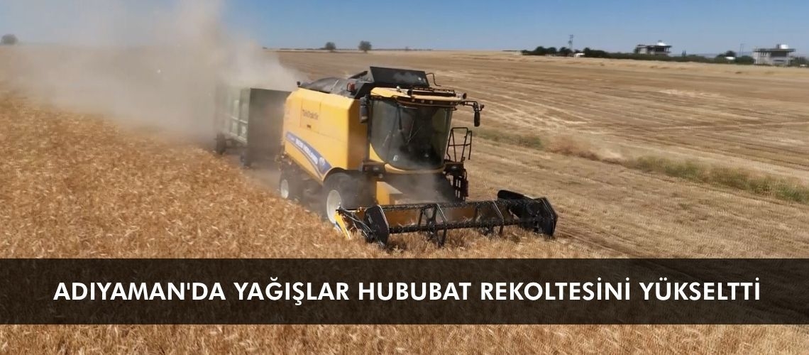 Adıyaman'da yağışlar hububat rekoltesini yükseltti