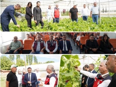 Humik asit uygulaması yaygınlaşıyor