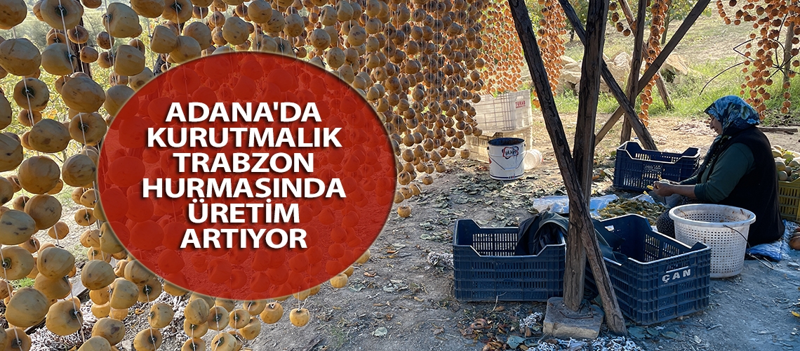 Adana'da kurutmalık Trabzon hurmasında üretim artıyor