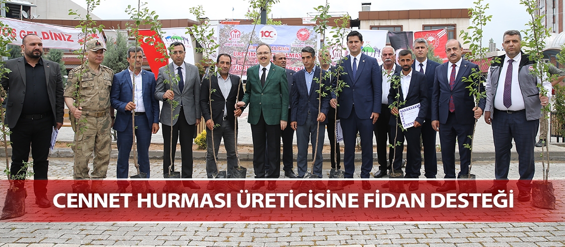 Cennet hurması üreticisine fidan desteği