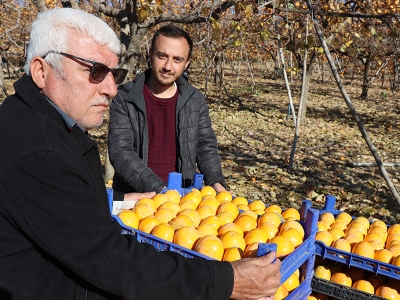 Adıyaman’da desteklerle üretim artıyor
