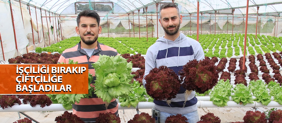 İşçiliği bırakıp çiftçiliğe başladılar