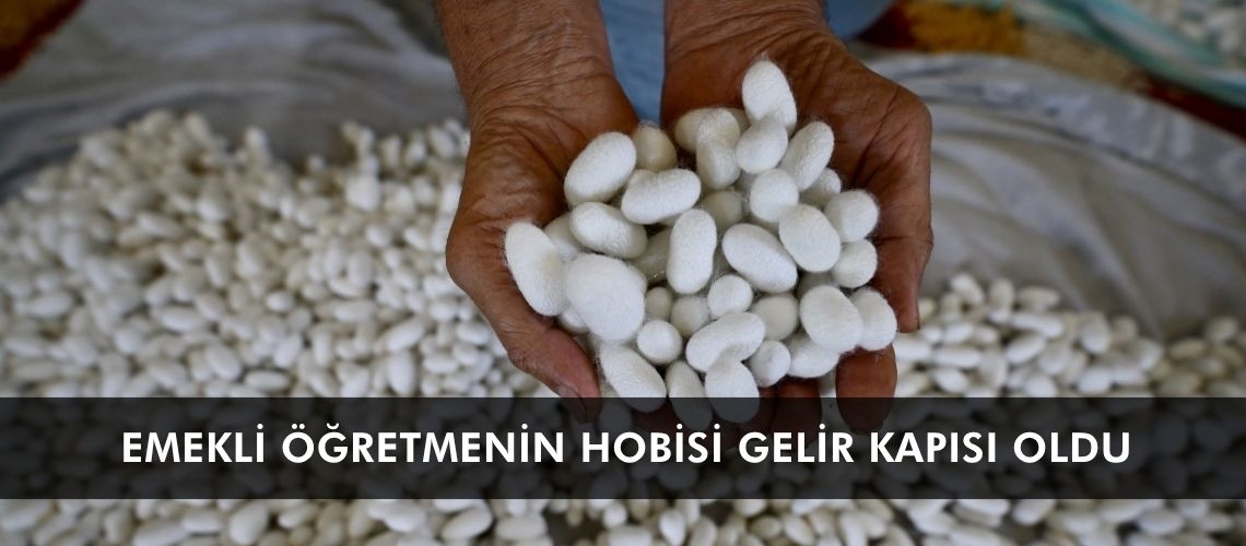 Emekli öğretmenin hobisi gelir kapısı oldu