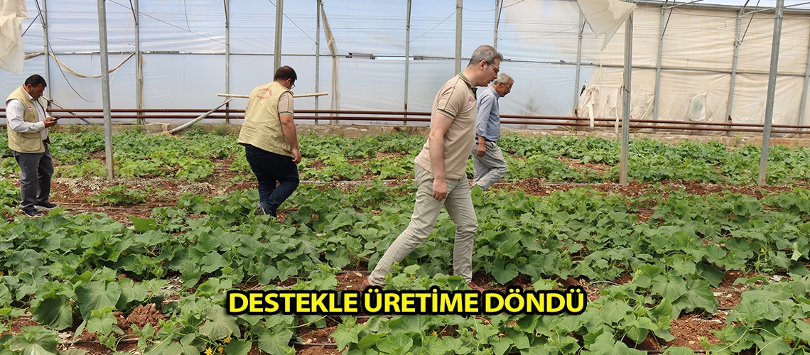 Destekle üretime döndü