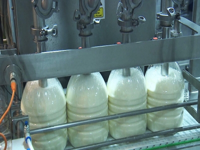 Çiğ Süt Üretiminde Hijyen Uygulaması ve Sütün Muhafazası