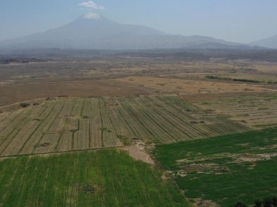 Taşlık arazi bereketli tarım toprağına dönüştü
