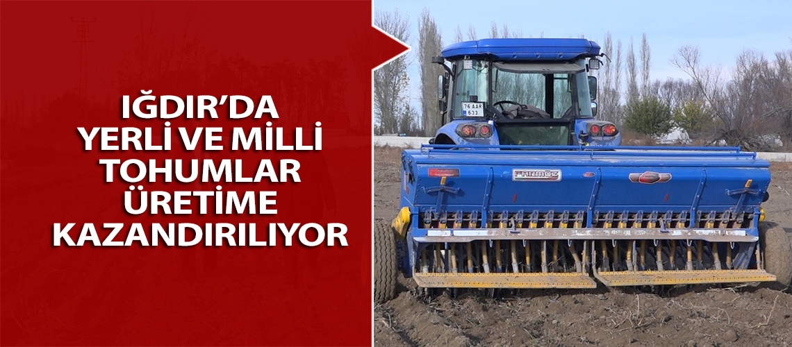 Iğdır’da yerli ve milli tohumlar üretime kazandırılıyor