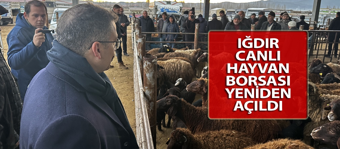 Iğdır canlı hayvan borsası yeniden açıldı