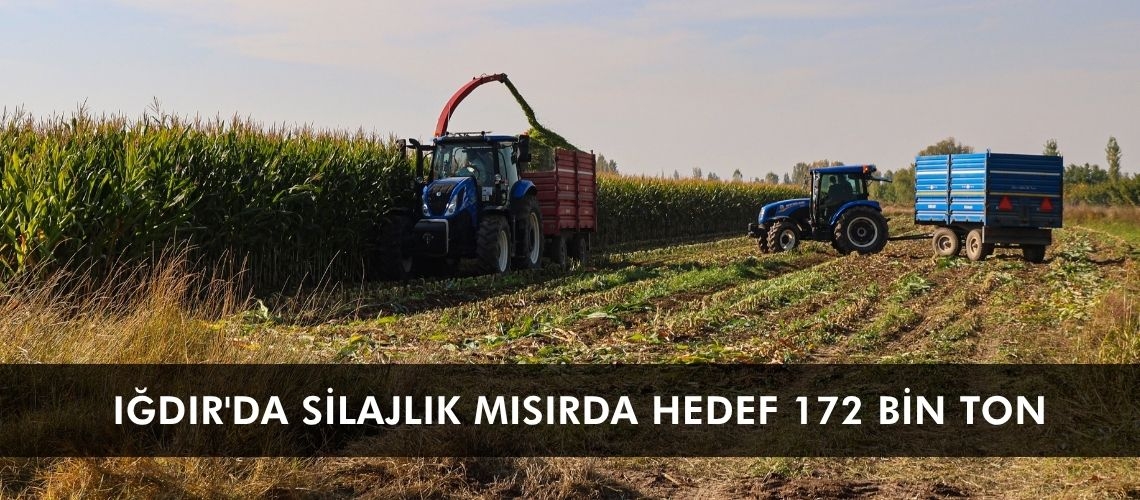 Iğdır'da silajlık mısırda hedef 172 bin ton