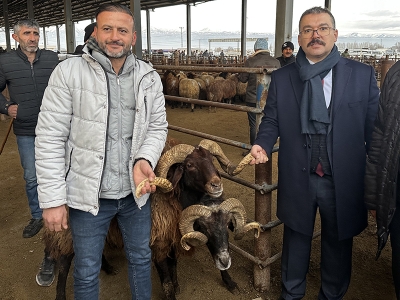 Iğdır canlı hayvan borsası yeniden açıldı