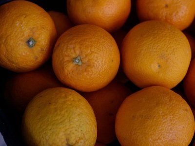 Turunçgilde 6 aylık ihracat rakamları açıklandı