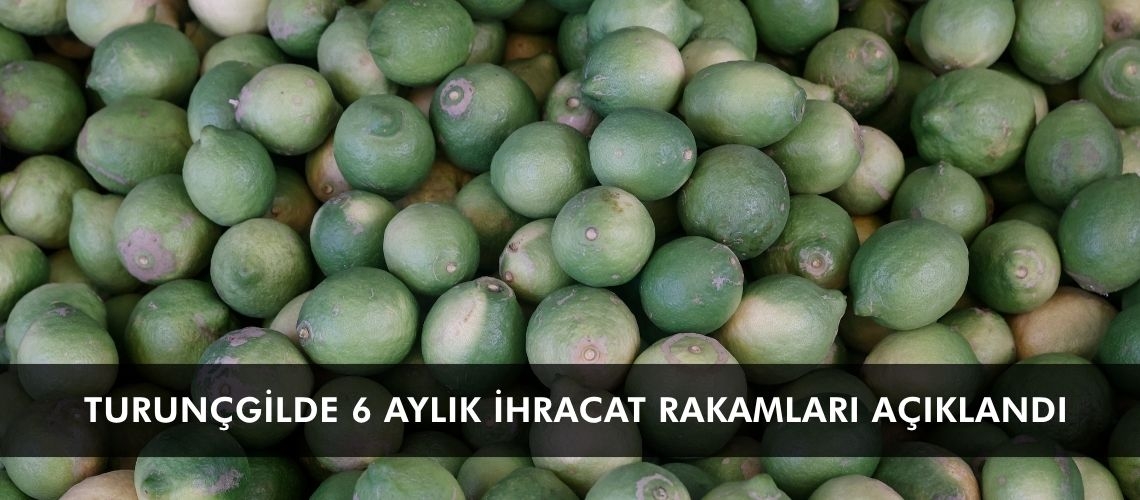 Turunçgilde 6 aylık ihracat rakamları açıklandı