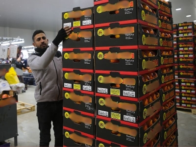 İhracatın yüzde 46’sı Doğu Akdeniz’den