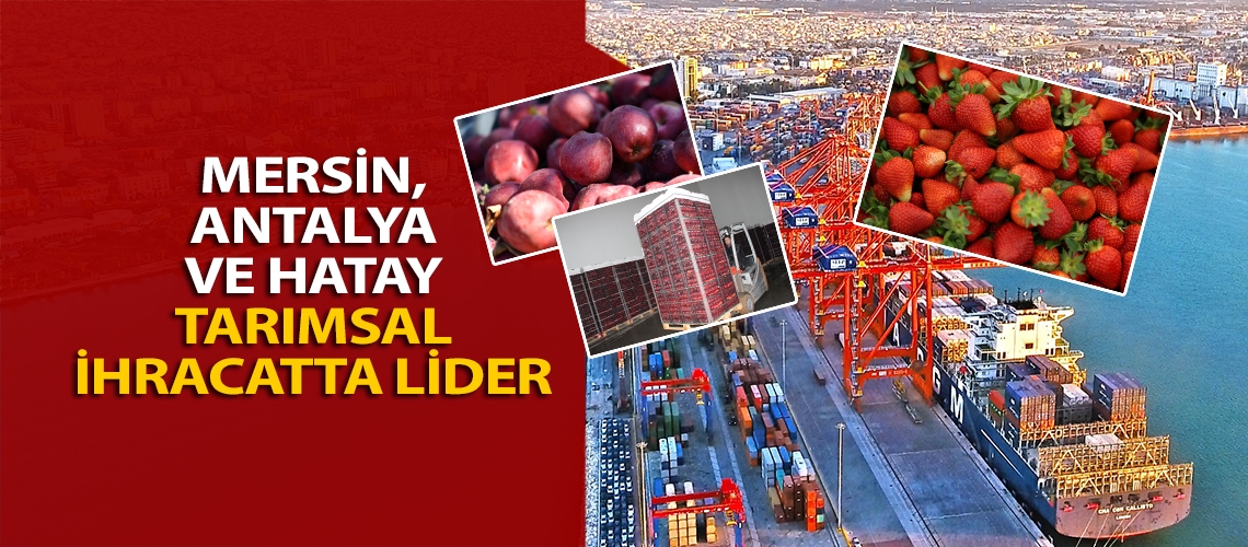 Mersin, Antalya ve Hatay tarımsal ihracatta lider