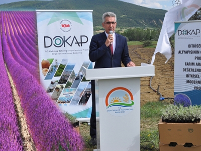 Gümüşhane “Lavanta Projesi” ile yeşeriyor