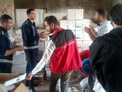 Sahte zirai ilaçlar imha edildi