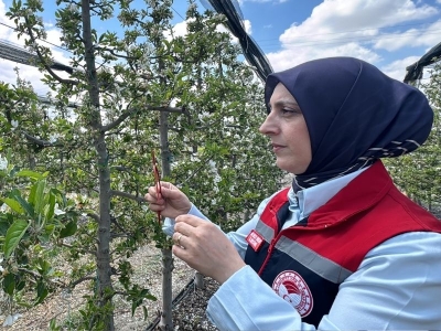 Biyoteknik mücadele ile ilaç kullanımı azaldı