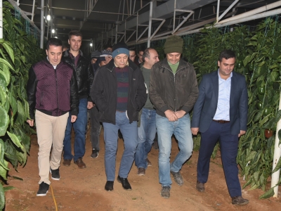 Antalya seralarında don nöbeti